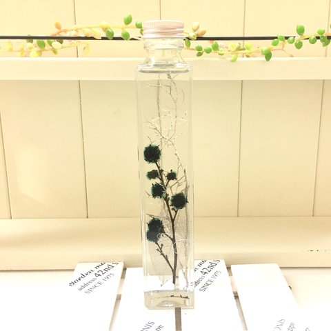 (Herbarium) ふわふわスターリンジャー緑花ミックスハーバリウム電球型ガラスボトル(pajour)(ギフト)