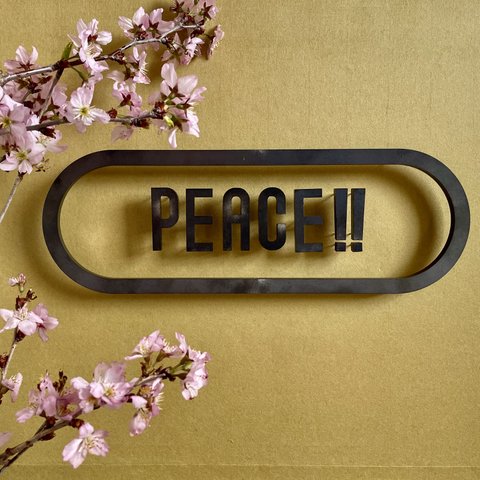 アイアンロゴピン「PEACE‼︎」長丸枠