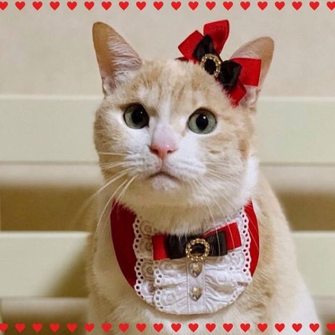 送料無料☆彡バレンタインカラーのりぼんとひらひらレースのスタイ〜猫の首輪