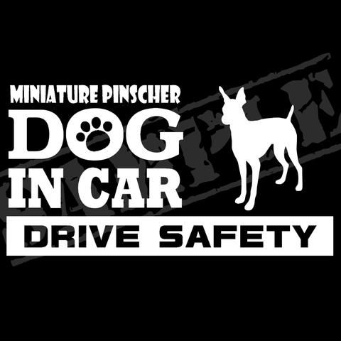 『犬種名・DOG IN CAR・DRIVE SAFETY・ミニチュアピンシャー（立ち耳Ver）』ステッカー　9cm×17cm