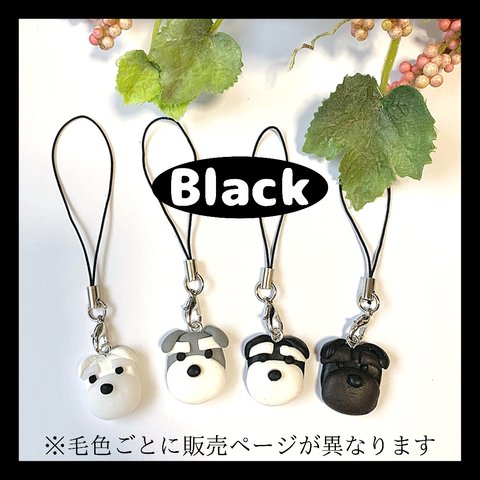 Blackシュナ -いつもいっしょ- シュナウザーのお顔ストラップ