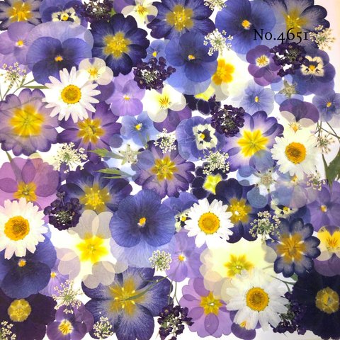 ♡new♡作家様必見♡押し花MIXセット♡押し花セット