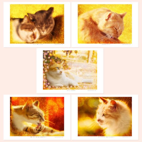 猫アート。ねこ のポストカード（はがき）５枚セット