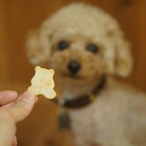 【母の日ギフト　5/12着】　犬用クッキー　犬のおやつ　米粉/無添加