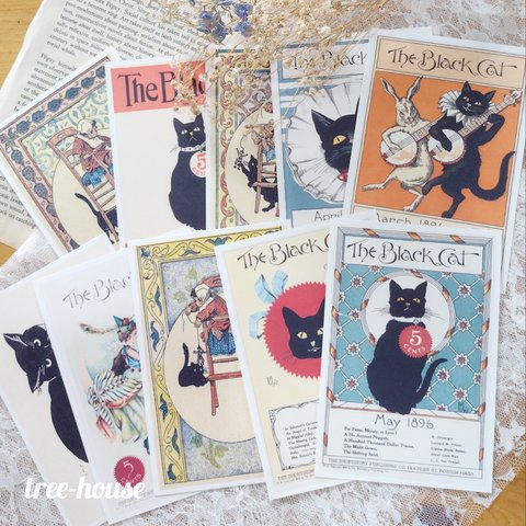 10枚☆ポストカード（黒猫）①