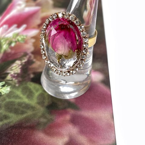 Rosa ring【pink】