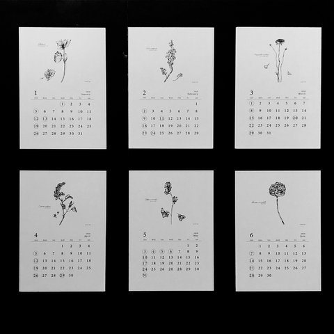 《80%OFF》植物語(しょくぶつがたり)2020 ポストカードカレンダー