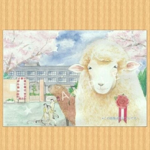 入学・卒業祝　動物【７枚セット】　ポストカード　（ヒツジ　カピバラ　リスザル）