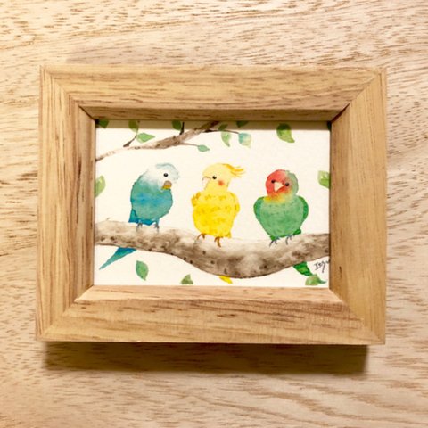 🐤「仲良しインコたち」 水彩画イラストミニ額 鳥🐤