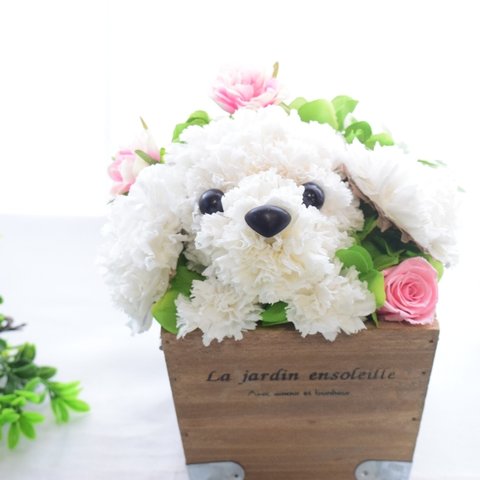 【白 トイプードル】花っぷり フラワーペット／プリザーブドフラワー  カーネーション 犬 動物  花  母の日 フラワーギフト  誕生日 お供え