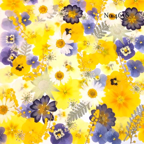 ♡new♡作家様必見♡押し花MIXセット♡押し花セット