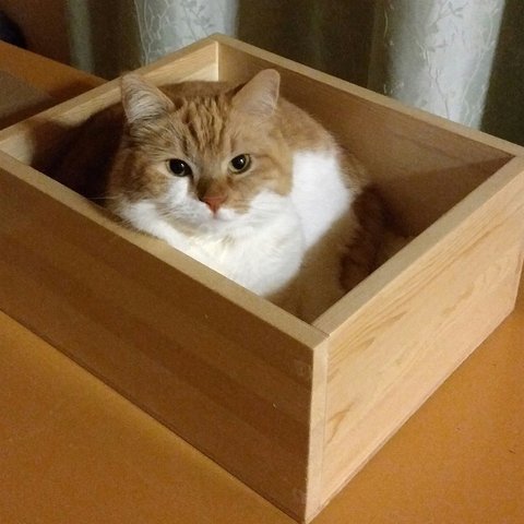 キャットハウス　木製　ねこ桝