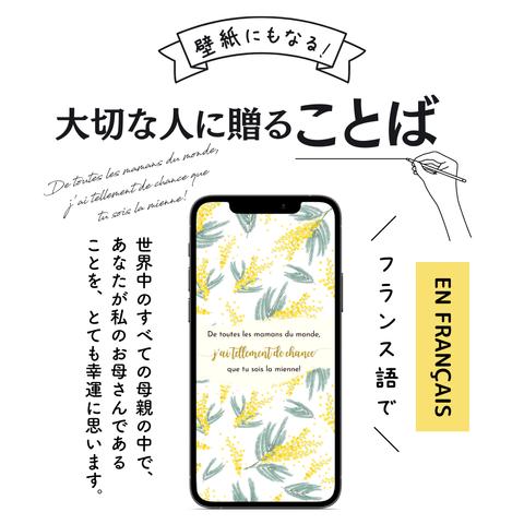 スマホ壁紙にもなる母の日に贈ることばのプレゼント「世界中のすべての母親の中で、あなたが私のお母さんであることを、とても幸運に思います！⑭」(フランス語の待ち受け画像）