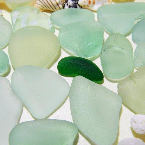 海辺の輝き　淡いグリーン系色中型サイズ徳盛カケラクラス（シーグラス）