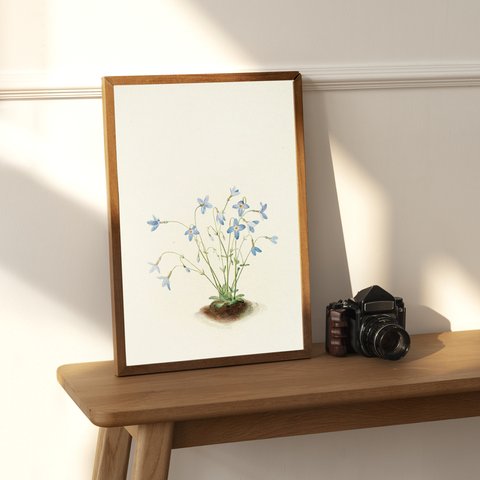 【NO.195】青い小花のフラワーアートポスター☆ボタニカルナチュラルインテリア植物★水色アンティーク★A4A3A2A1