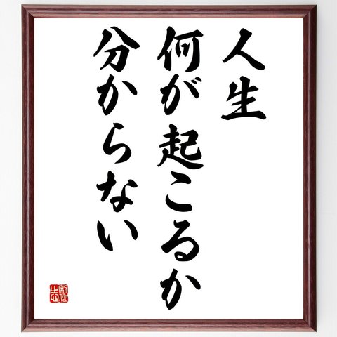 名言「人生何が起こるか分からない」額付き書道色紙／受注後直筆（V5804）