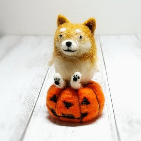 ハロウィンかぼちゃに座ったゆる柴犬 羊毛フェルト