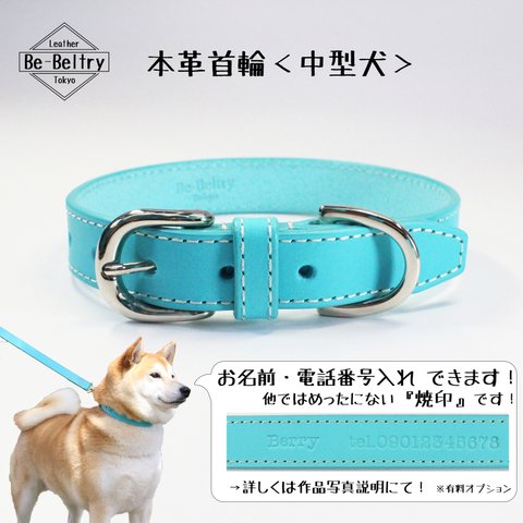 【送料無料】本革レザー首輪〈中型犬〉ターコイズブルー色　幅２１ｍｍ　首回り３２～４０cm対応可　高級ヌメ革使用