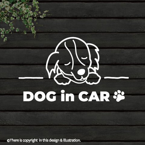 DOG IN CAR/ ボーダーコリー【カッティングステッカー】手書きわんこ