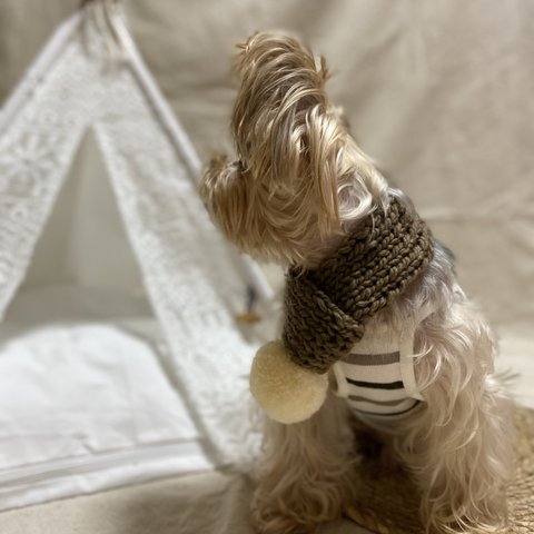 【犬服】ペットマフラー 🧣 手編みマフラー