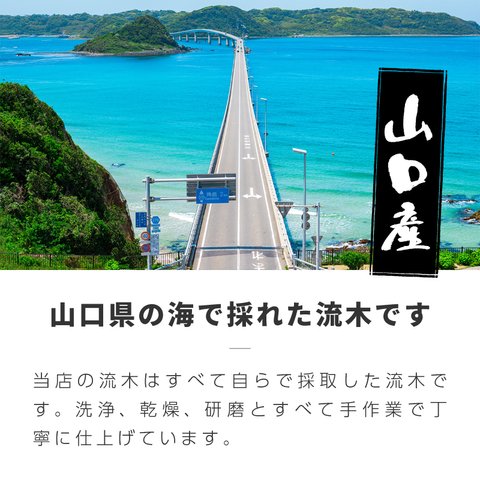 流木 棒 おまかせセット：A3 15cm以内 × 30本 ハンドメイド素材 ガーデニング素材 装飾 【送料無料】