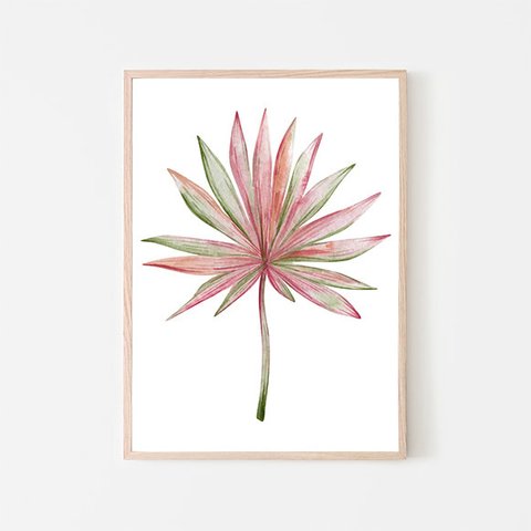 トロピカルリーフ / アートポスター 水彩画 イラスト アートプリント 観葉植物 葉っぱ ピンク ナチュラル 自然