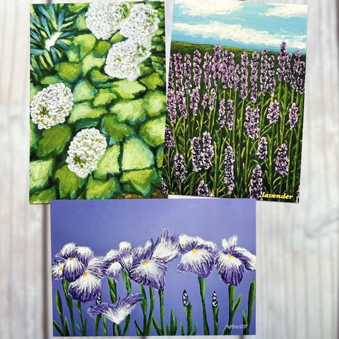 お花のポストカード3枚セット　紫陽花　ハナショウブ　ラベンダー