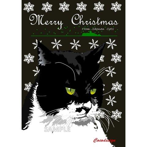 ポストカード 湘南Catsのクリスマス　②　白黒ネコ