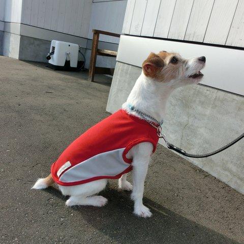 中型犬用２Ｌシャインクールパネルタンク