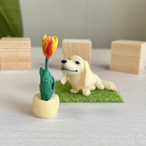 ダックス茶（動物と花シリーズ）