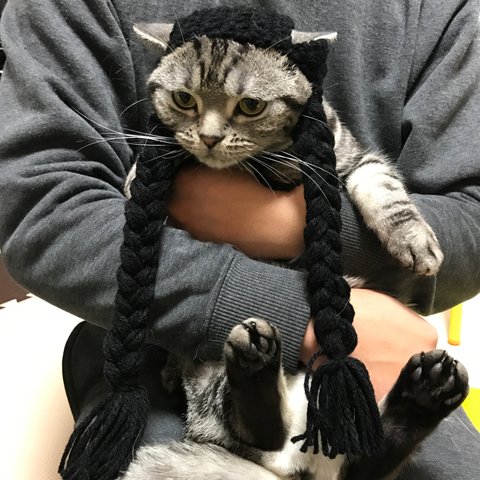 猫用帽子 おさげ
