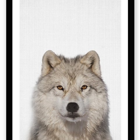 A4 アートポスター 「狼」　おしゃれ インテリア 雑貨 アニマル 北欧