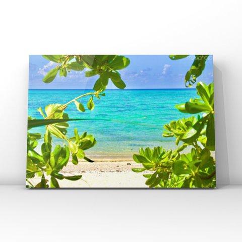 Crystal clear sea 〜沖縄の風景をあなたのお部屋に〜【写真サイズやパネル加工・フレーム付きが選べる】
