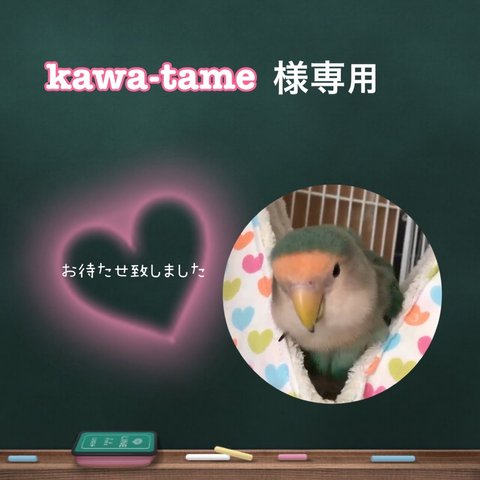 kawa-tame様 専用ページ