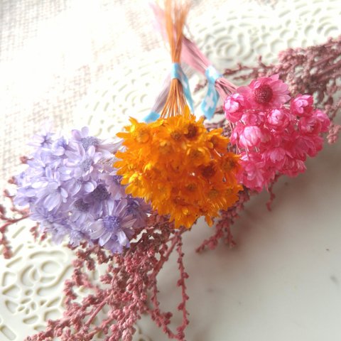 ハロウィーン色の小さな花束🎃スターフラワーミニとマルセラ　ダークピンク　３色小分け
