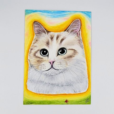 チョークアートの猫　ラグドール