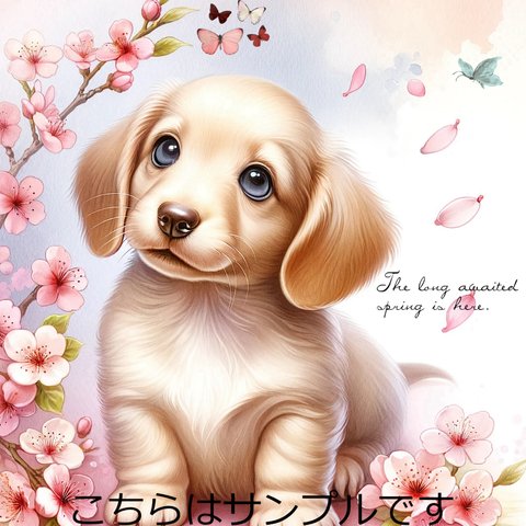 オリジナル 生地 ブロックデザイン ハンドメイド素材 犬 ミニチュアダックスフンド