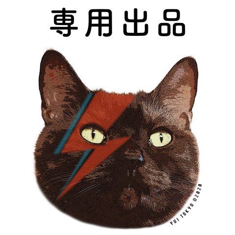 nya-t様 専用出品