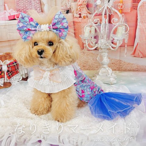 マーメイドコスチューム ※ドレスのみ【犬、人魚、コスプレ、ハロウィン、コスチューム】小型犬、超小型犬、誕生日、バースデー