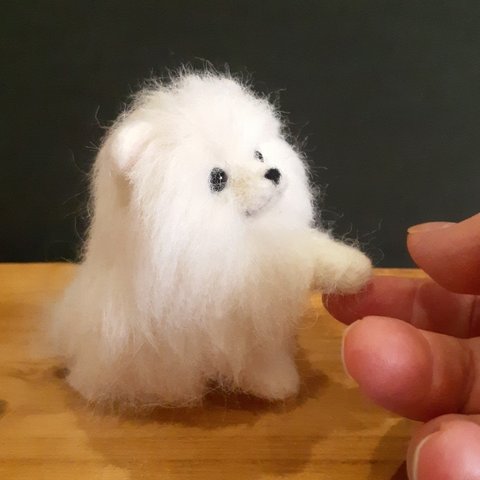 羊毛フェルトの犬　ポメラニアンの子犬ちゃん