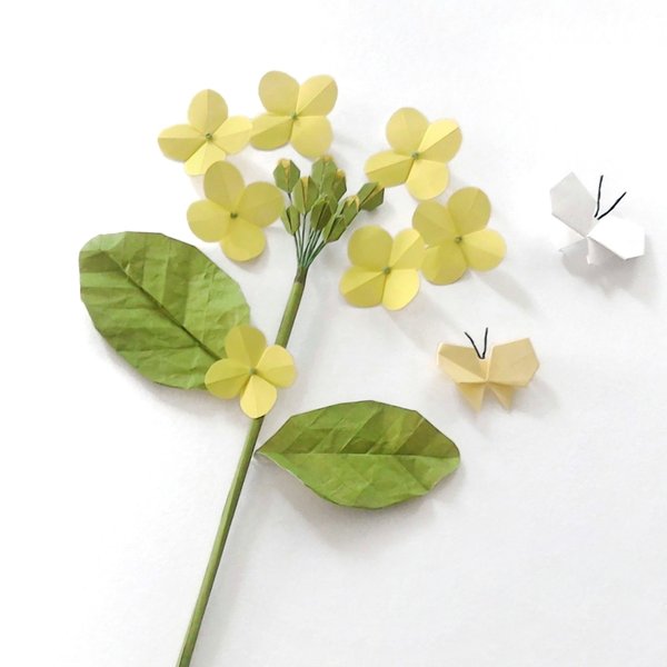 折り紙 菜の花とちょうちょ 壁面飾り S Bloom 折り紙 Gallery Minne 国内最大級のハンドメイド 手作り通販サイト 折り紙 菜の花とちょうちょ 壁面飾り S Bloom 折り紙 Gallery Minne 国内最大級のハンドメイド 手作り通販サイト