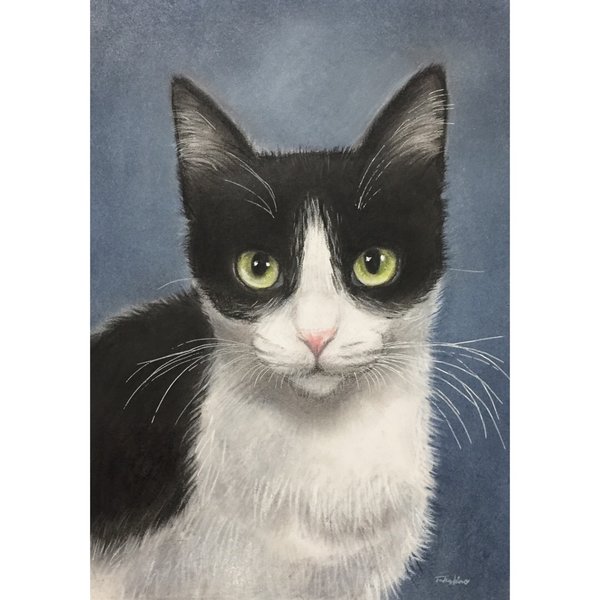 パステル画 黒い猫 A4サイズ 色画用紙 elc.or.jp