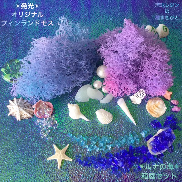 琉球*プリザモス 〜碧海ライト〜 ハーバリウム フィンランドモス 琉球*プリザモス 〜碧海ライト〜 ハーバリウム フィンランドモス