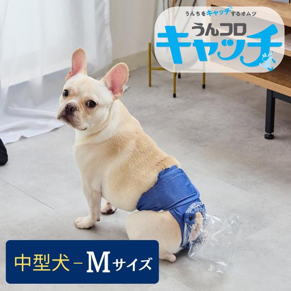 うんコロキャッチMサイズ - FrienDoggy 公式minne店 | minne うんコロキャッチMサイズ - FrienDoggy 公式minne店 | minne