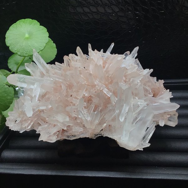 スター【爆レア!!浄化!!超希少聖美結晶】ピンク水晶クラスター スター【爆レア!!浄化!!超希少聖美結晶】ピンク水晶クラスター