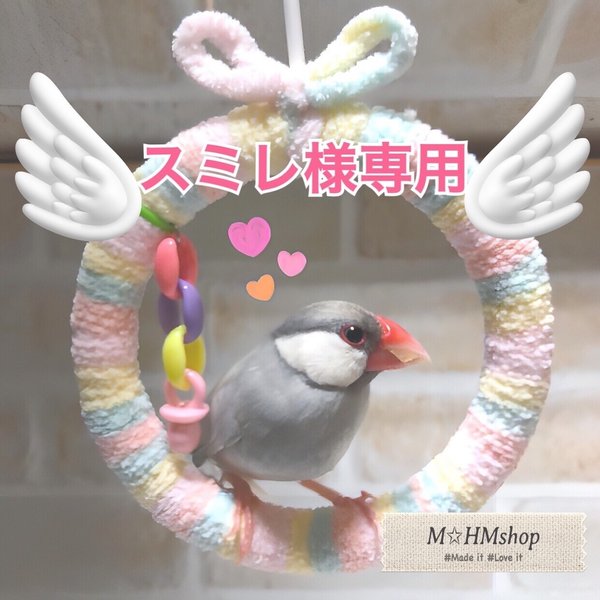 ✰皿巣掛け付き✰ セキセイインコ 皿巣 クッション ベッド 30点 - 小鳥