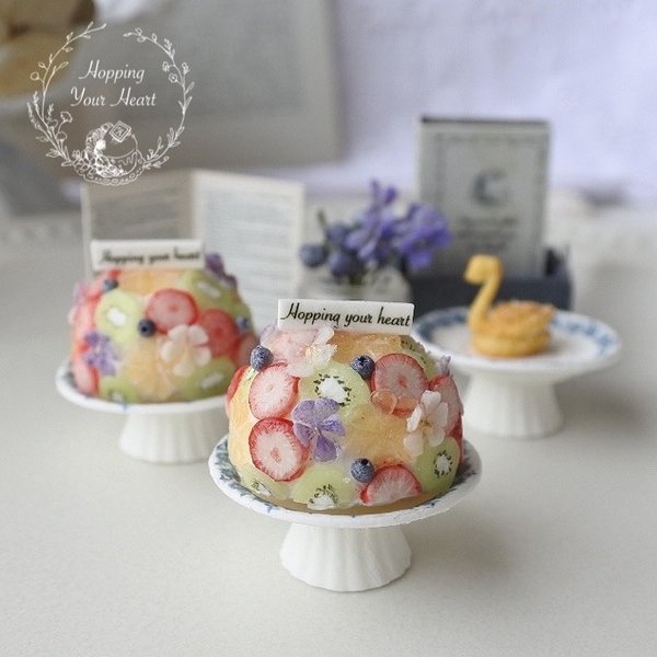 金沢は激しい雪で ミニチュア♡ ズコットケーキアソートセット | www 金沢は激しい雪で ミニチュア♡ ズコットケーキアソートセット | www