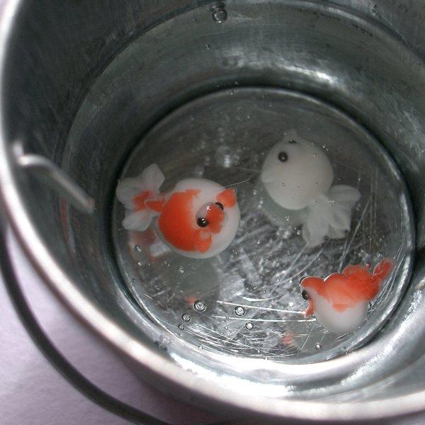 バケツ金魚(ピンポンパール更紗・素赤・ミルク) - KUROGANE
