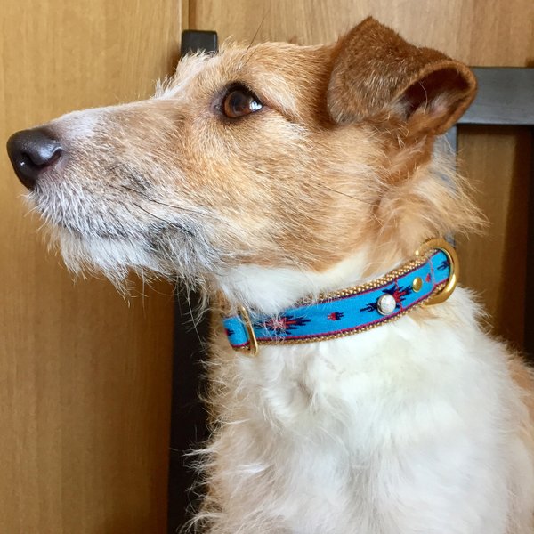 再販 小型犬 中型犬用首輪 かっこいいネイティブ柄 Minne 日本最大級のハンドメイド 手作り通販サイト 再販 小型犬 中型犬用首輪 かっこいいネイティブ柄 Minne 日本最大級のハンドメイド 手作り通販サイト