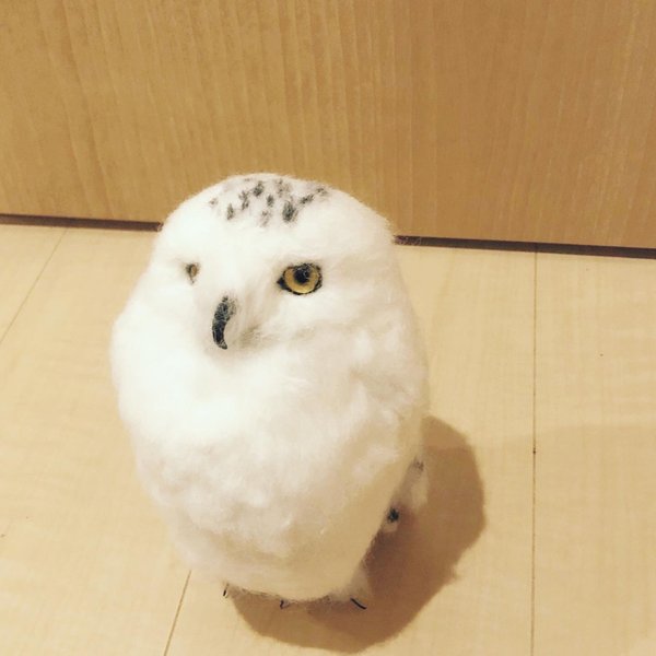 買い保障できる フェルト人形 梟 イヌイット mandhucollege.edu.mv